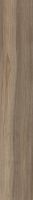 Harper Taupe 10 x 60